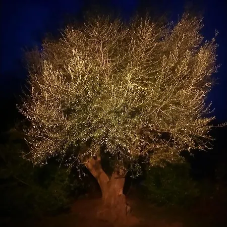 Casa Tanghicciola Apartman *