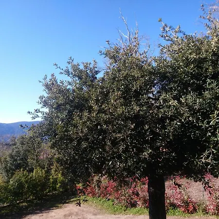 Apartman Casa Tanghicciola *