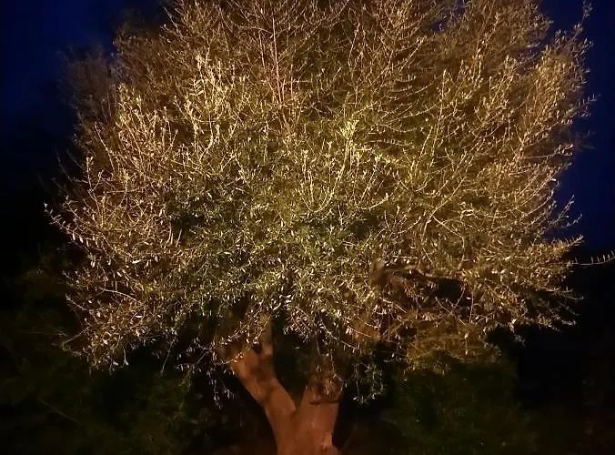 Casa Tanghicciola Appartement *